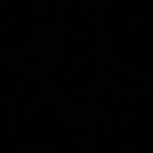 Meet your Posher, Bill